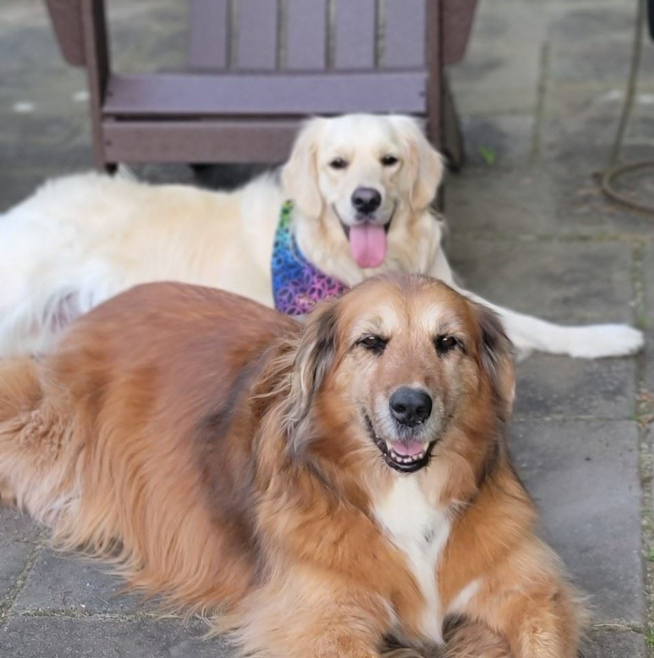 thumbnail_20220703_195548